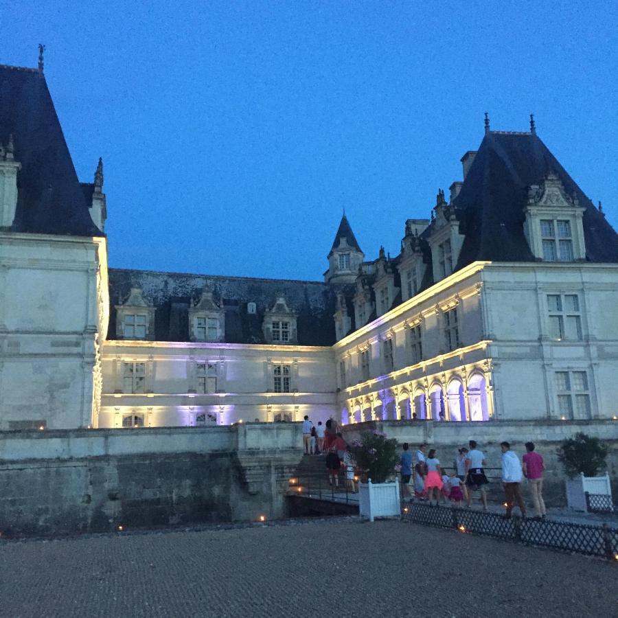 Appartement Au Calme, Avec Parc Prive, 50M Du Tram トゥール エクステリア 写真